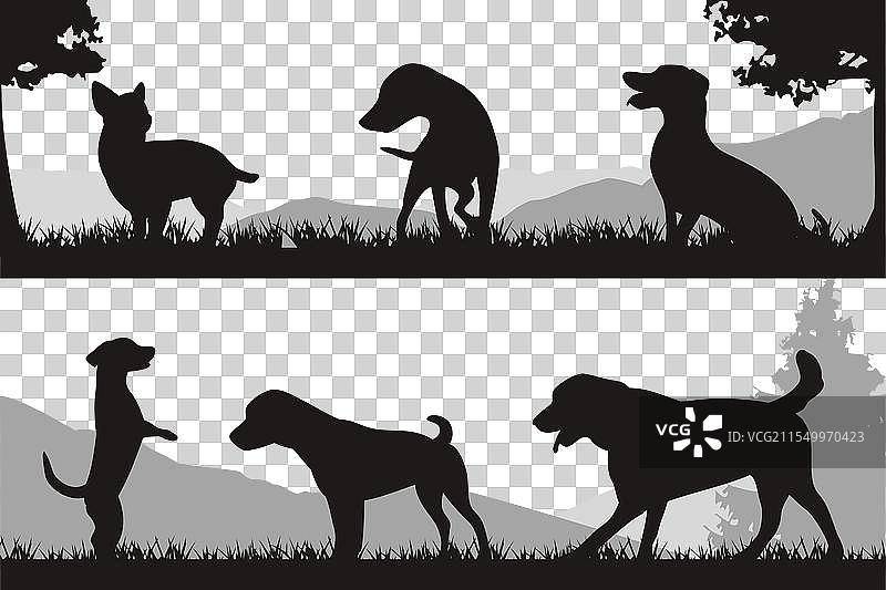 自然景观中的狗的剪影图片素材