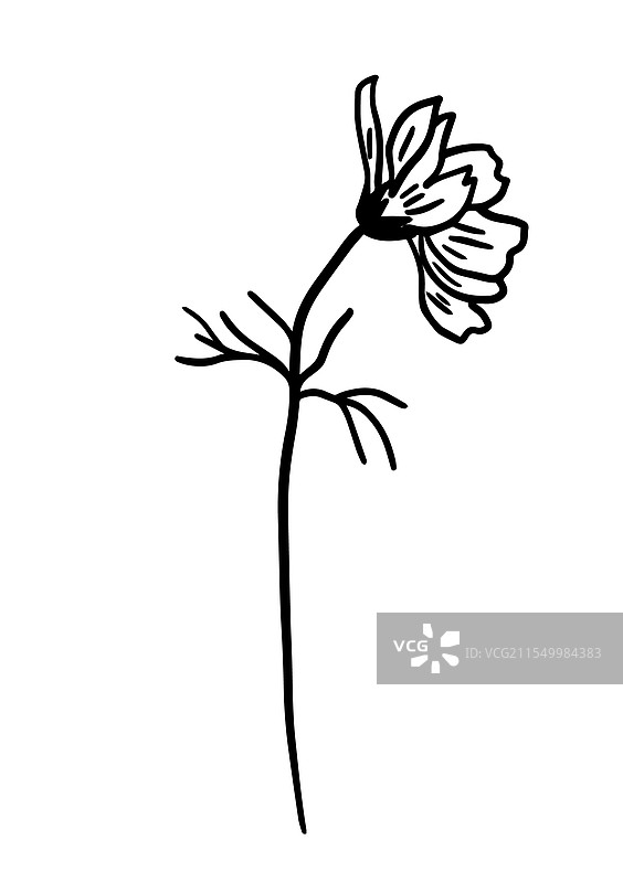 单线极简风格的单色宇宙花图片素材