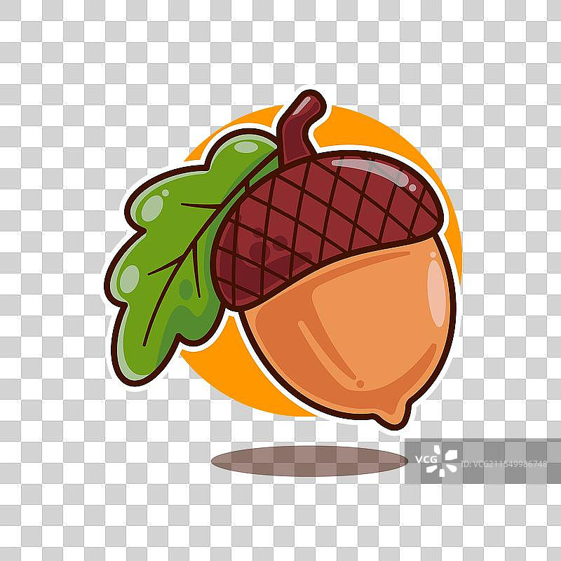 橡果 - 卡通图片素材