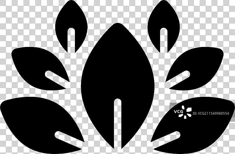 自然图片素材