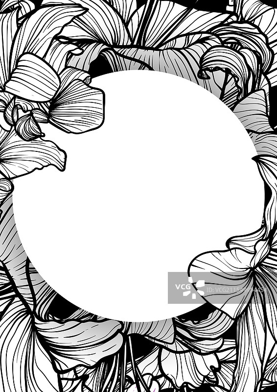 手绘线条艺术黑色百合花图片素材