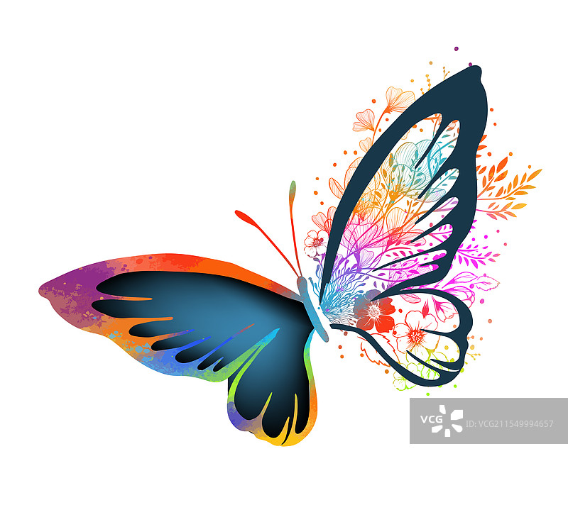 手绘线条艺术的蝴蝶与花朵图片素材