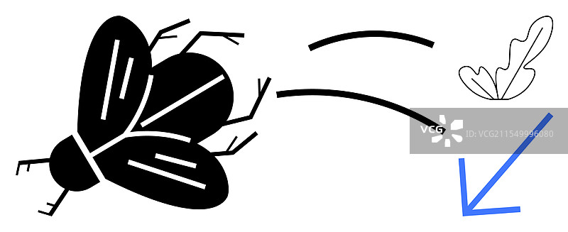 苍蝇到精致叶子的蜕变之旅图片素材