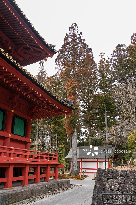 日本 栃木县 日光 两社一寺 日光山轮王寺 世界文化遗产图片素材