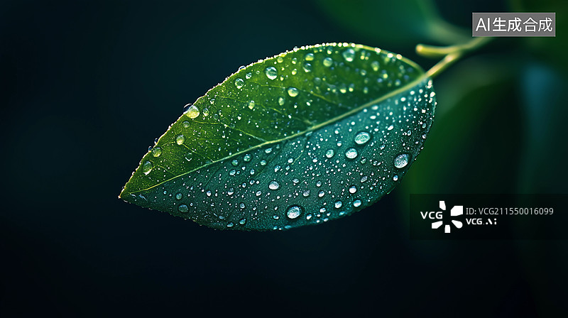 【AI数字艺术】绿叶上的晶莹水珠图片素材