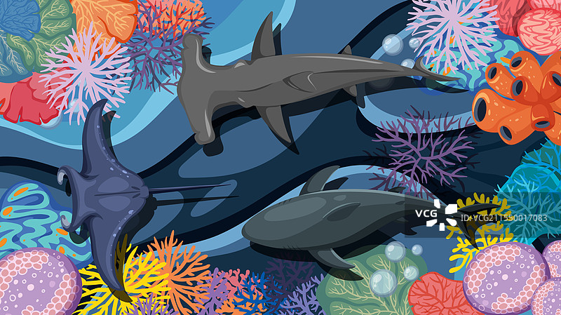 色彩斑斓的海洋生物，展示鲨鱼和珊瑚图片素材