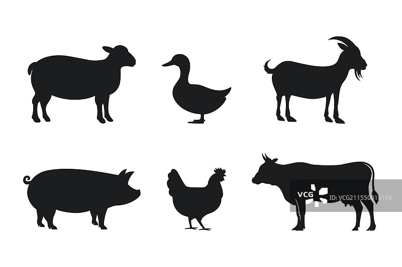 农场动物和家畜图标的剪影图片素材