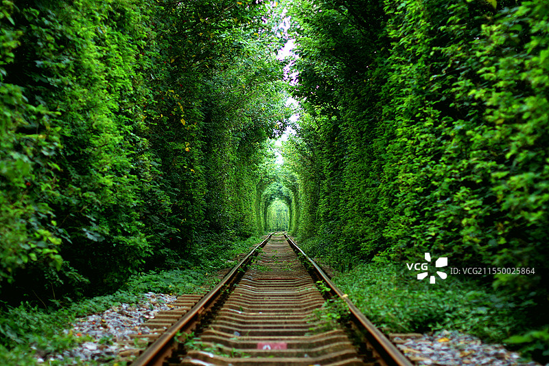 穿越树林的铁轨宛如时光隧道图片素材