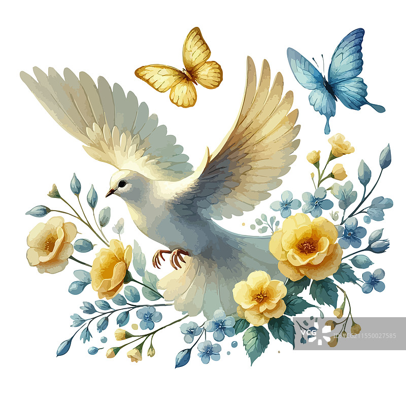 和平鸽 水彩画 朴素 风格 独特 手绘图片素材