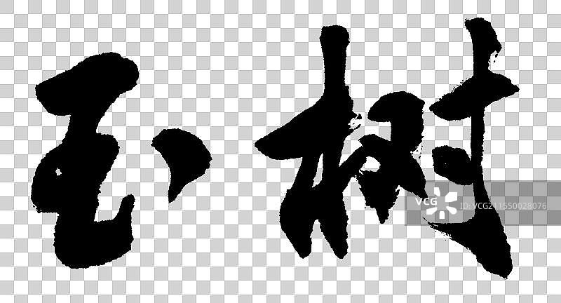 地名之青海玉树手绘书法艺术字体元素图片素材