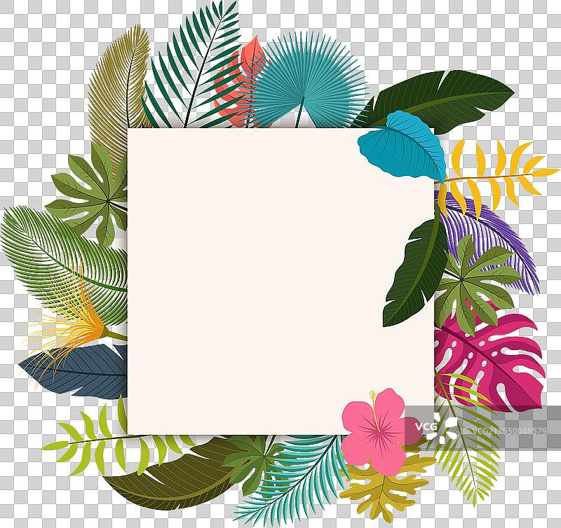 热带叶子花卉复古风格，留有空间用于图片素材