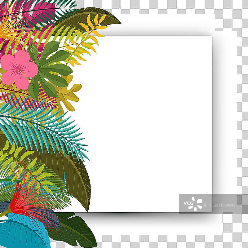 热带叶子花卉复古风格，留有空白空间用于图片素材