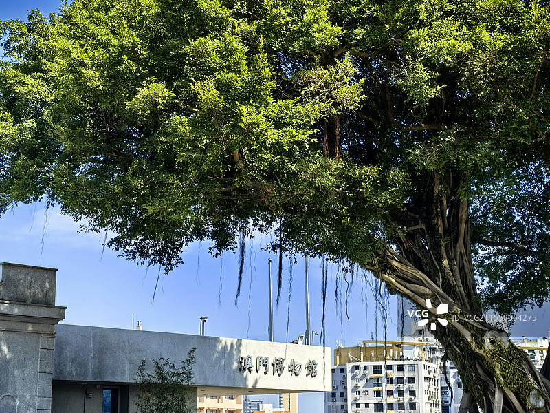 澳门博物馆一角图片素材