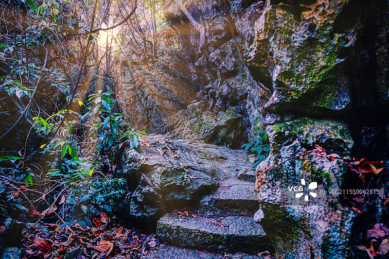 广西崇左石景林景区风景图片素材