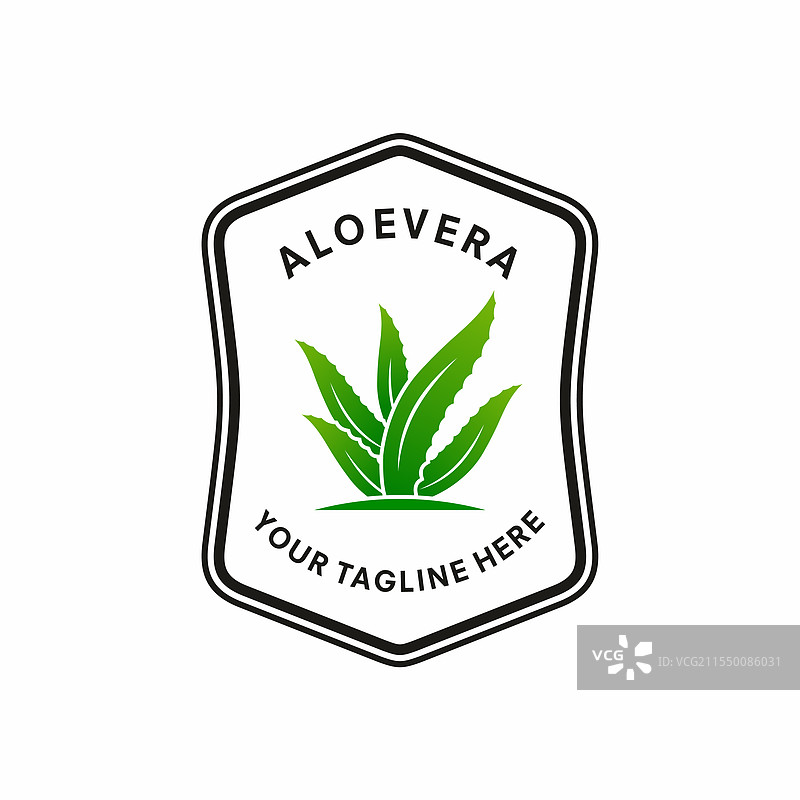 白色背景上的芦荟图片素材