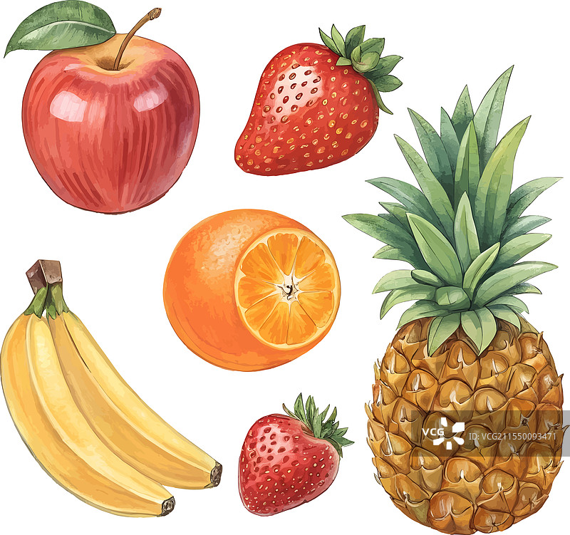 白色背景上的水果图像集图片素材