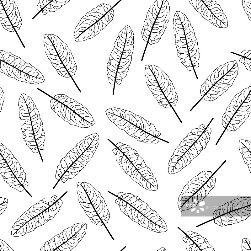 无缝黑白图案，特色手部设计图片素材