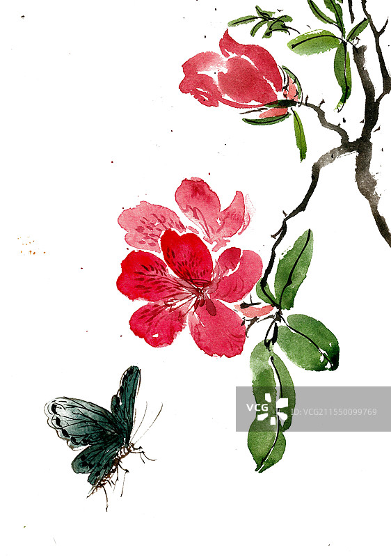 海棠花与蝴蝶图片素材