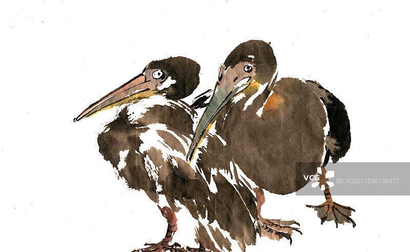 两只小鸟图片素材