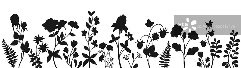 乡村风格的盛开花卉轮廓花边图片素材