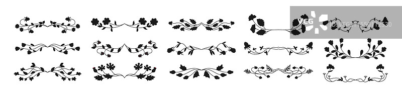 涂鸦分隔线，浆果、树枝和花朵的剪影图片素材