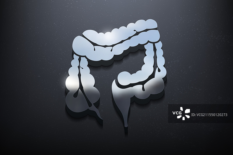 大肠 3D 徽标设计 光亮的徽标模型图片素材