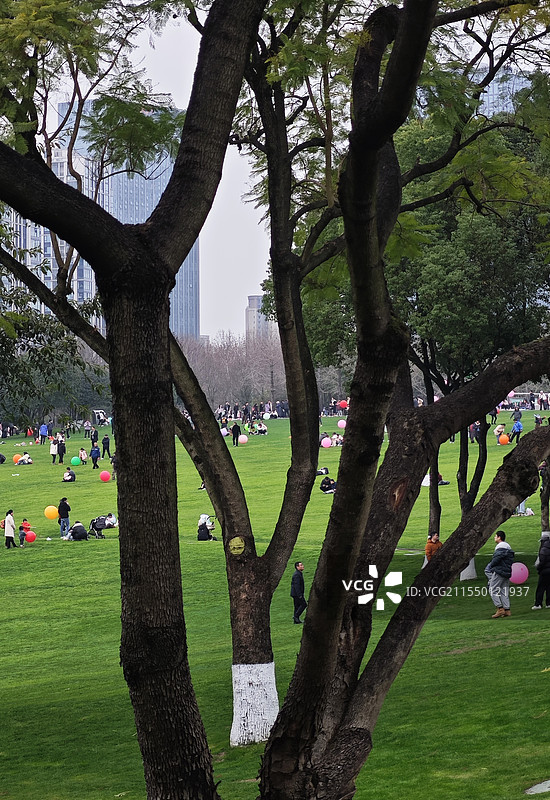 重庆渝北中央公园，周末的下午，没有阴雨绵绵，远处的城市天际线与自然景观相映成趣。图片素材