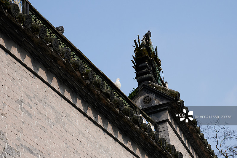 天童寺牌头的鸽子图片素材