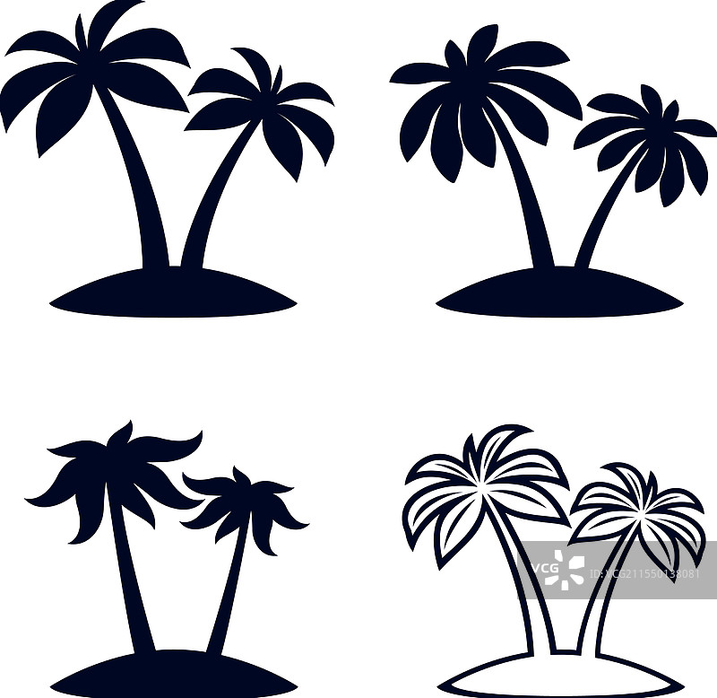 热带棕榈树图片素材