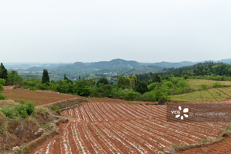 四川德阳中江自然地理，乡村田园牧歌风光，农业耕地土地风景图片素材