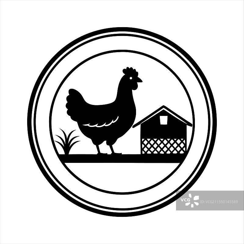 鸡在画圈图片素材