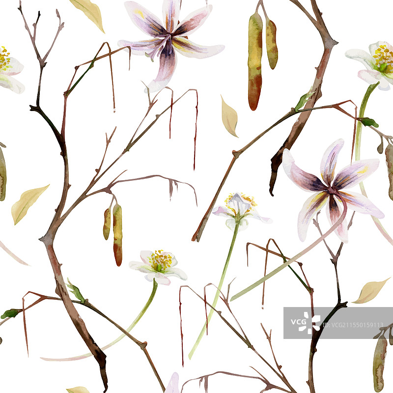 带有猫耳花的春季白色森林树枝图片素材