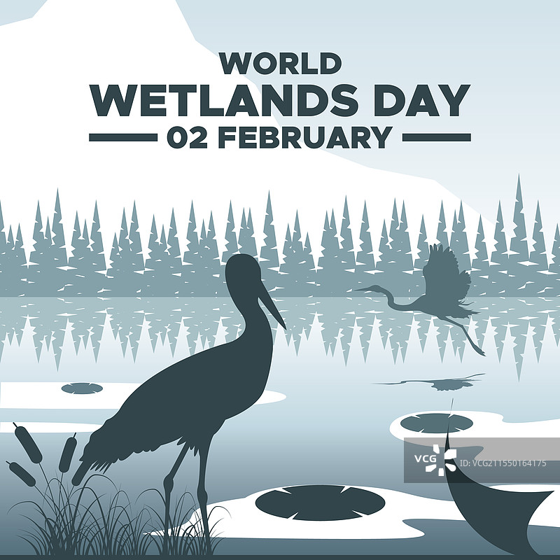 世界湿地日 2月2日 社交媒体图片素材