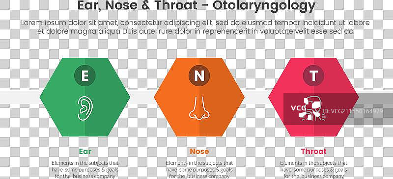 健康治疗疾病信息图表三要点图片素材