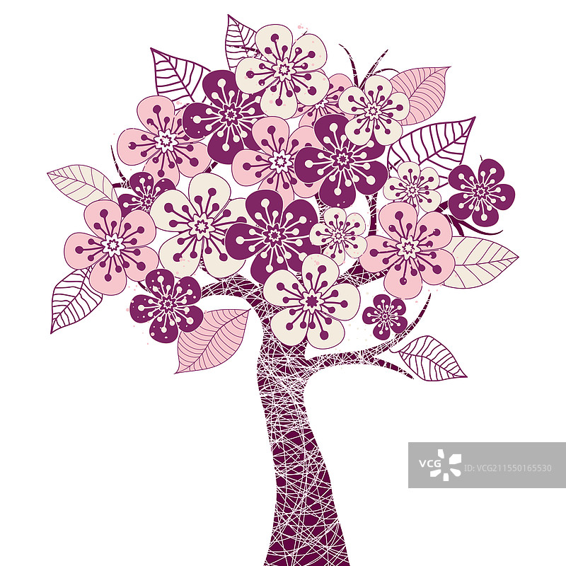 盛开的樱花树孤立在透明背景上图片素材