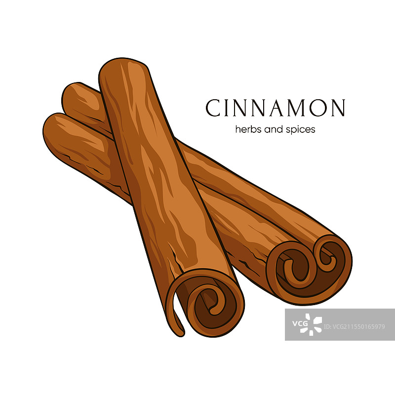 手绘肉桂棒图片素材