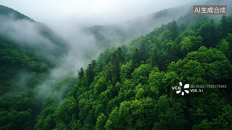 【AI数字艺术】森林云雾山岚图片素材