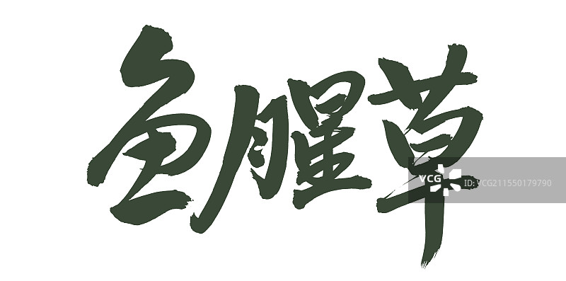 手书手写汉字书法字体 鱼腥草图片素材