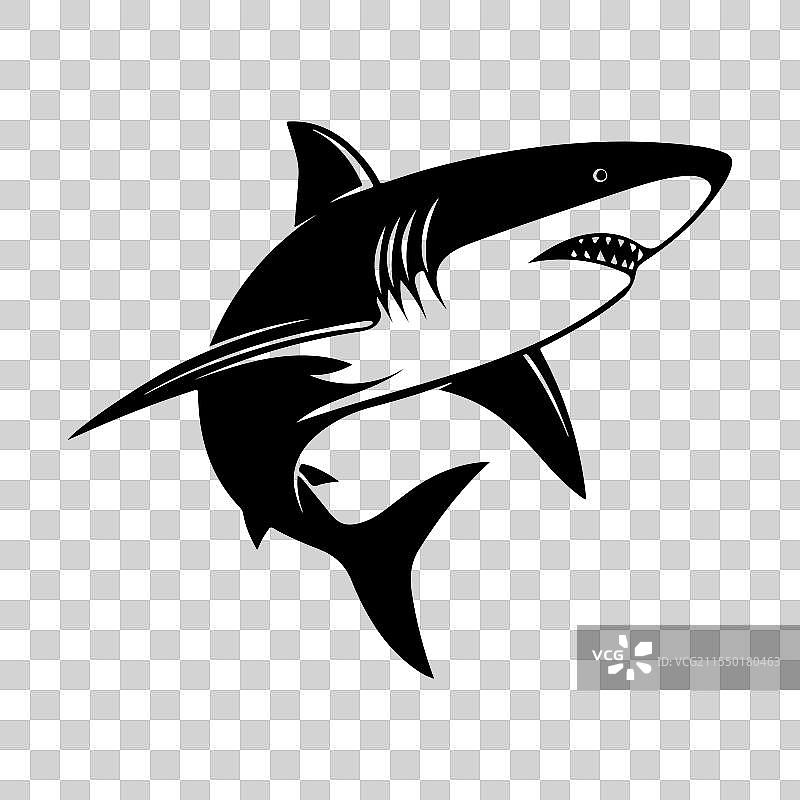 鲨鱼图标剪影艺术设计图片素材