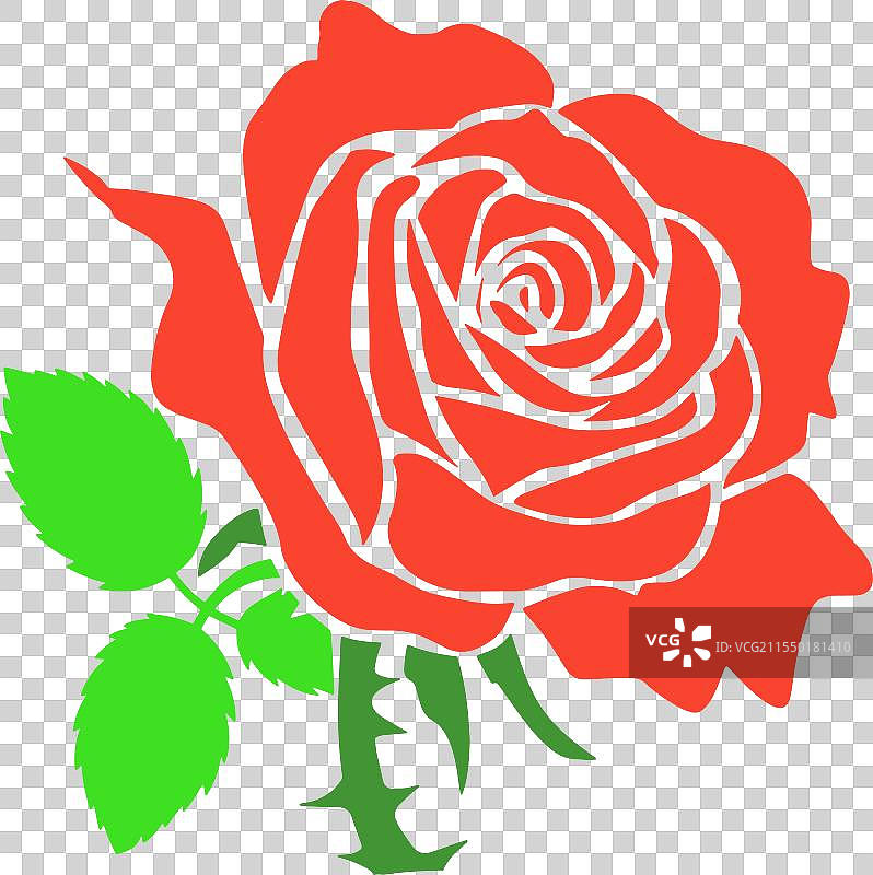 红玫瑰图片素材