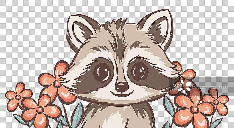 手绘可爱的浣熊图片素材