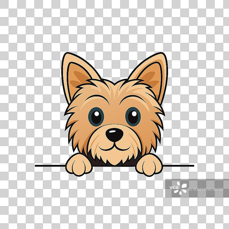 窥视的约克夏犬T恤SVG图片素材