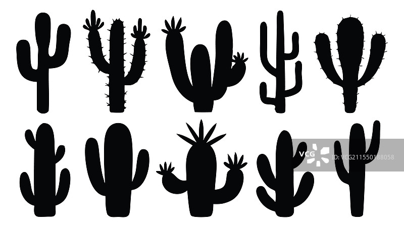 黑色仙人掌轮廓在白色背景上独立展示图片素材