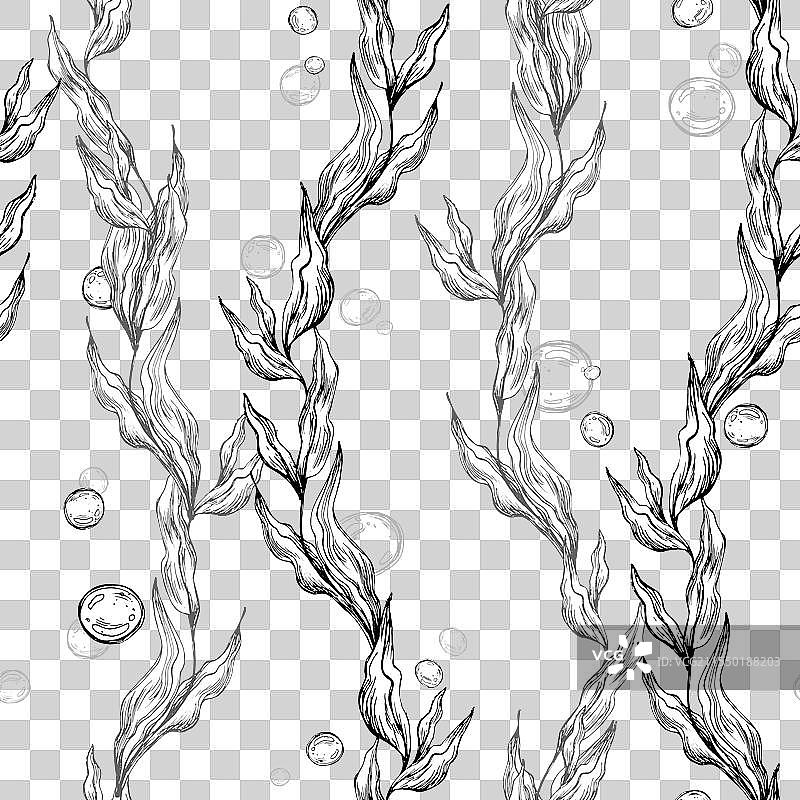 海蓝色藻类与在波浪中扭动的叶子图片素材