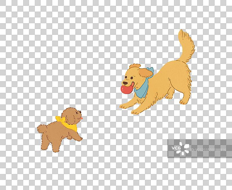 玩耍的狗狗图片素材