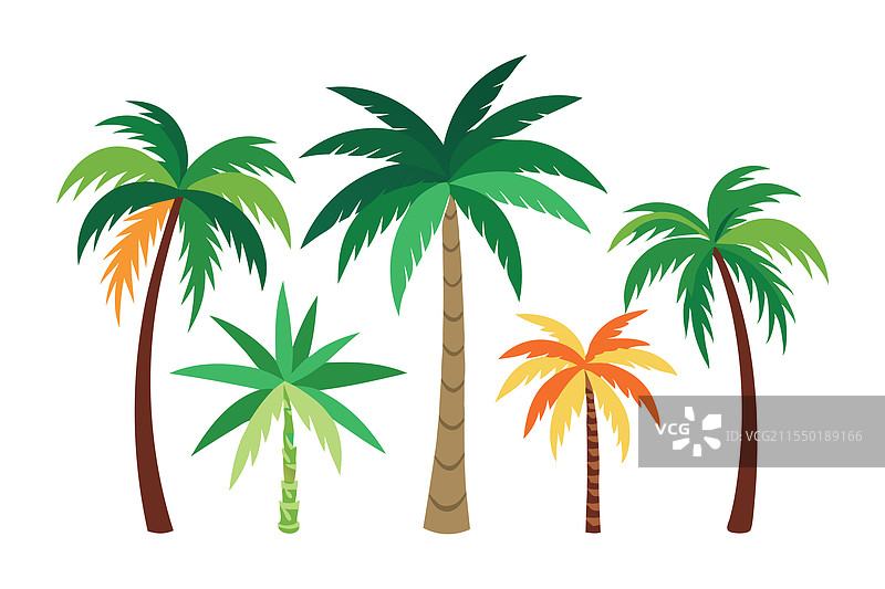 展示高大的棕榈树的剪贴画图片素材