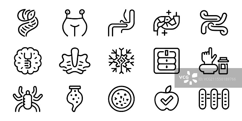 消化、肠道、胃和益生菌图片素材