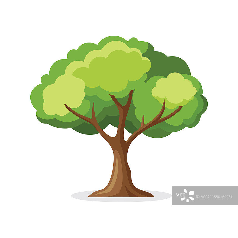 孤立的东部棉白杨树，背景为白色平面图片素材