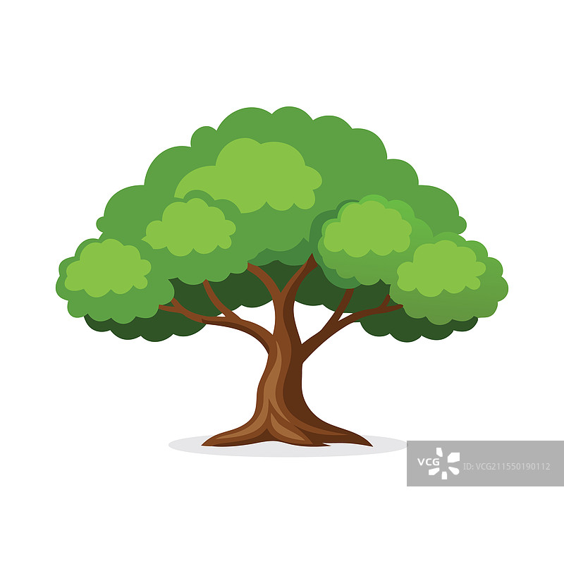 孤立的榆树，平放在白色背景上图片素材