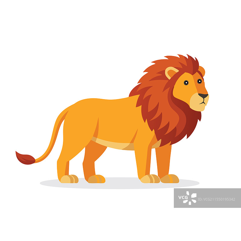 孤立在白色背景上的狮子动物平面图图片素材
